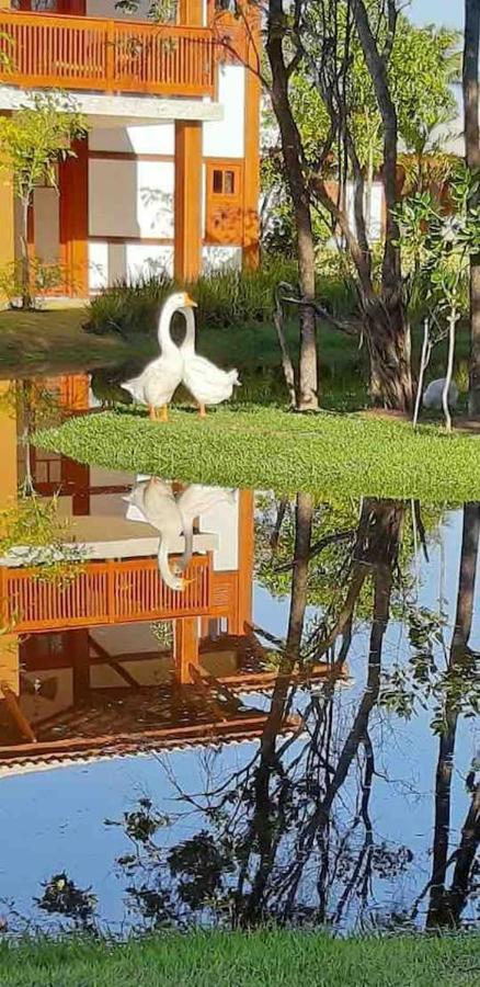 "Simplesmente Um Paraiso" ปรายาโดฟอร์ชิ ภายนอก รูปภาพ